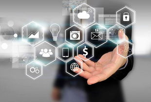 所志國軟文寫作案例 不靠廣告靠口碑，誠信服務(wù)成就電子商務(wù)新典范